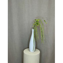 Amaranthus Gr�n 94 cm