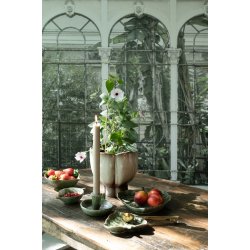 Bladsk�l Manda - lille