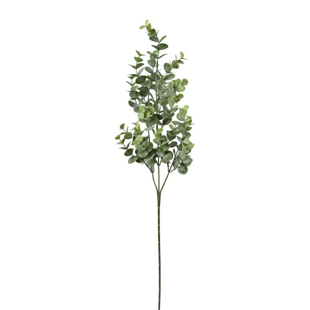 Eukalyptus stilk 69 cm