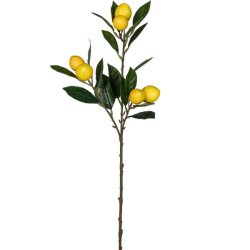 Gren med citroner 68 cm