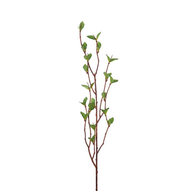 Gr�n Gren 50 cm