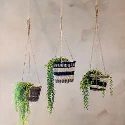 H�ngeplante Gr�n 58 cm