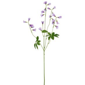 Klokkeblomst Lyslilla 68 cm