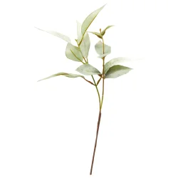 Eukalyptus stilk 38 cm