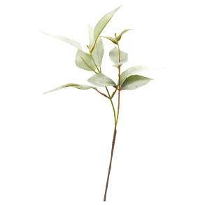 Eukalyptus stilk 38 cm