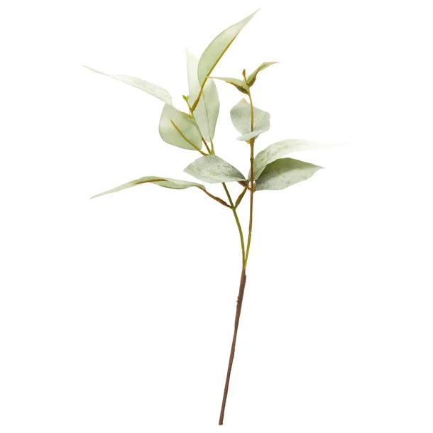 Eukalyptus stilk 38 cm