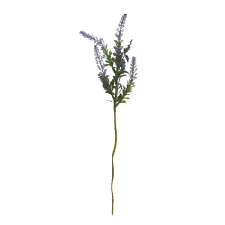 Lavendel Stilk 37 cm