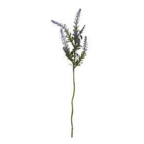 Lavendel Stilk 37 cm