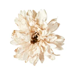 Georgine hoved creme hvid