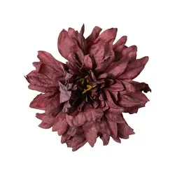 Georgine hoved Lilla