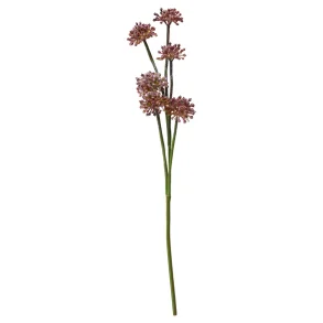 Tusindfryd Stilk 43 cm