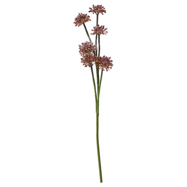 Tusindfryd Stilk 43 cm