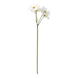 Stolt Kavaler stilk - hvid 45 cm