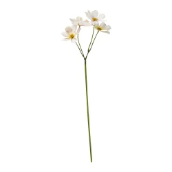 Stolt Kavaler stilk - hvid/rose 45 cm