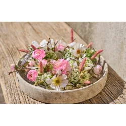 Bristlegr�s 74 cm