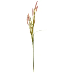 Bristlegr�s 74 cm
