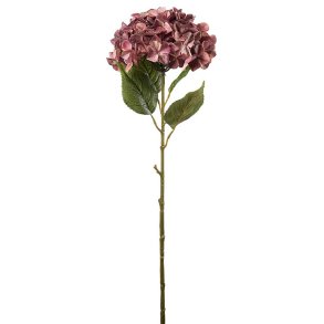 K�mpe Hortensia Rosa 110 cm