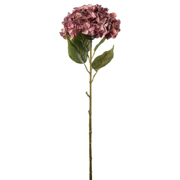 K�mpe Hortensia Rosa 110 cm