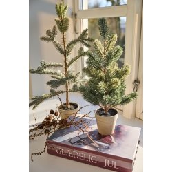 L�rketr� i potte 58 cm