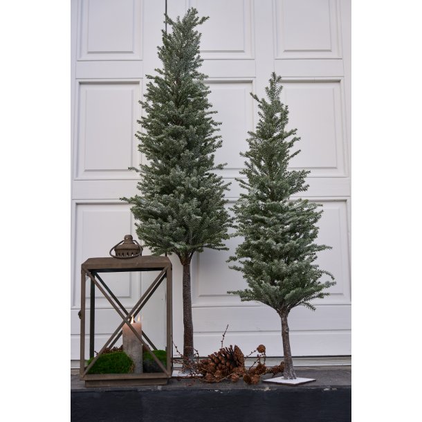 Taks m. sne og glimmer