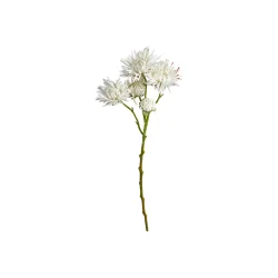 Krysantemum hvid 55cm