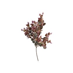 Eukalyptus stilk m�rk r�d 70 cm