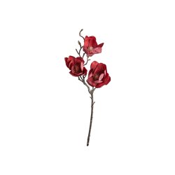 Magnolia stilk m�rk r�d 50 cm