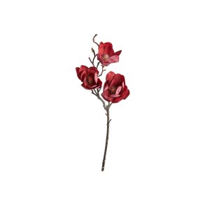Magnolia stilk m�rk r�d 50 cm
