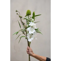 Eukalyptus stilk 89 cm