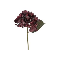 Hortensia stilk 28 cm - M�rk Lilla