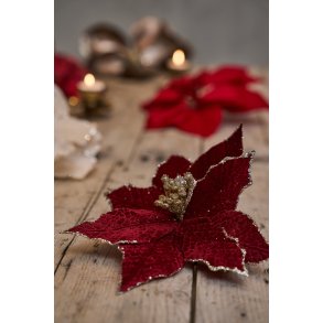 Julestjerne hoved m klips