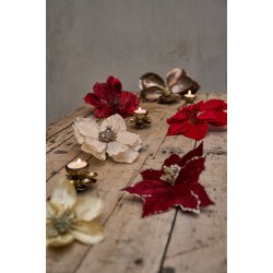 Julestjerne hoved m klips