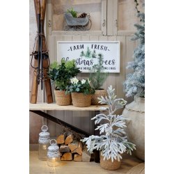 Fransk Staldlanterne h�j model