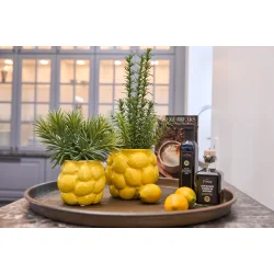 Potteskjuler Citron - lille