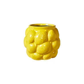 Potteskjuler Citron - stor