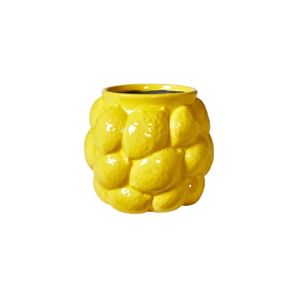 Potteskjuler Citron - stor