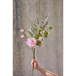 �blegren lyser�d 73 cm