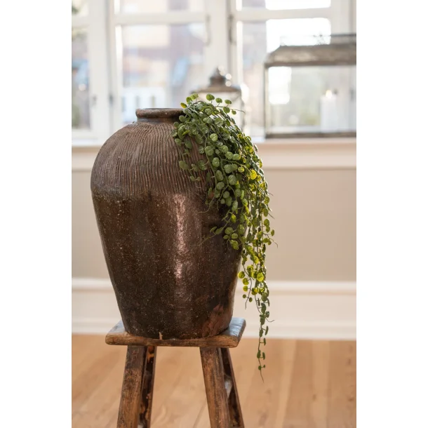 H�nge Sukkulent 81 cm