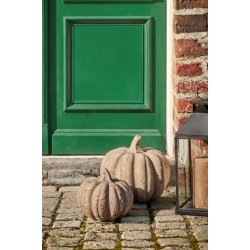 Gr�skar r� overflade natur - lille