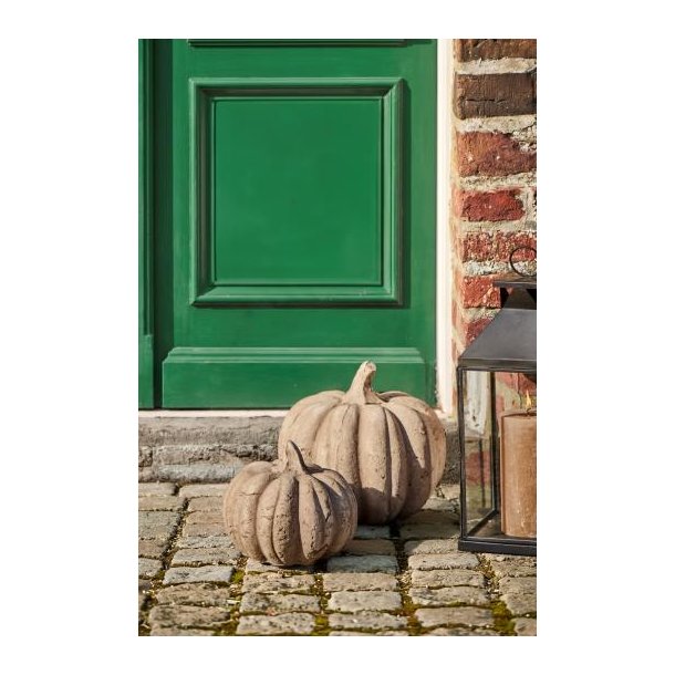 Gr�skar r� overflade natur - stor