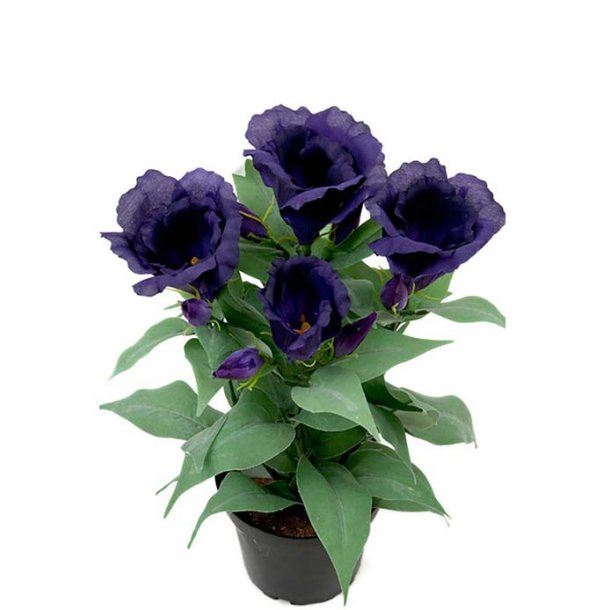 Pr�rieklokke lilla 30 cm 