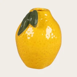 Stage Citron - lille