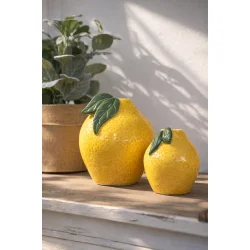 Stage Citron - lille