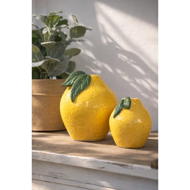 Stage Citron - lille