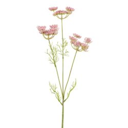 Sk�rmblomst rosa 50 cm