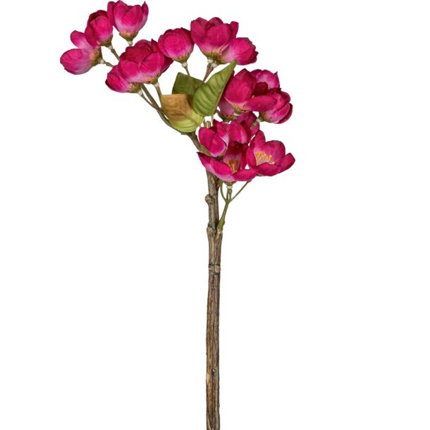 �bleblomst gren pink 