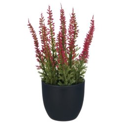 Lyng i potte 17 cm 