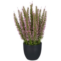 Lyng i potte 23 cm - rosa