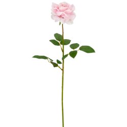Rose stilk med real touch 69 cm