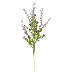 Phytolacca lilla 72 cm